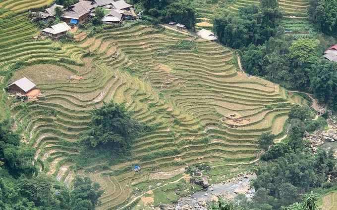 Photo 1 shared by A Tripadvisor traveller on Tripadvisor